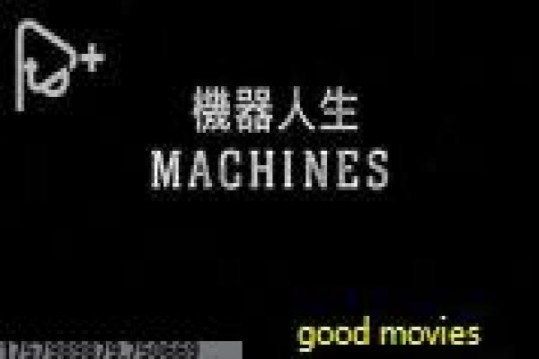 《劫难逃离》故事情节深度还原,逃离劫难的灾难生存与逃生