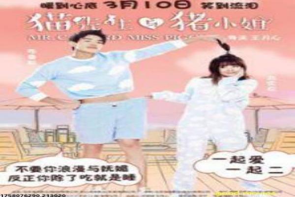 《头脑共助》影片简介,头脑共助破案的悬疑传奇