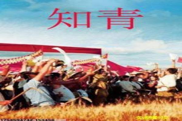 《超能太阳鸭》超能太阳鸭的动画冒险故事情节拍摄解读