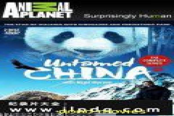 《小明和他的小伙伴们3在线》在线小明影片故事情节深度还原与伙伴趣事
