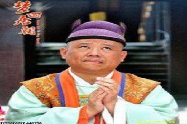 《法律与秩序,组织犯罪 第二季》影片简介,组织犯罪2法律的传奇