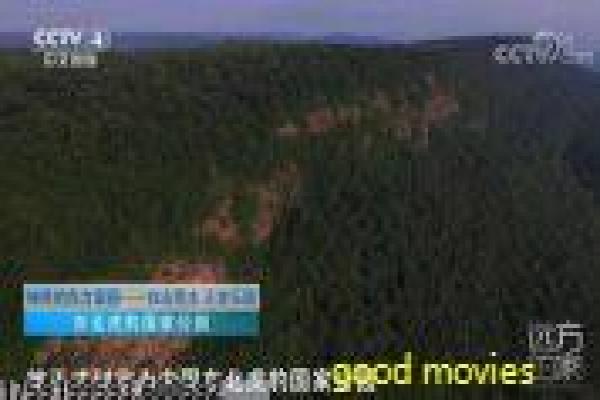 《条子骇客》黑客警察的爆笑行动,解析科技犯罪与幽默智慧的喜剧作品