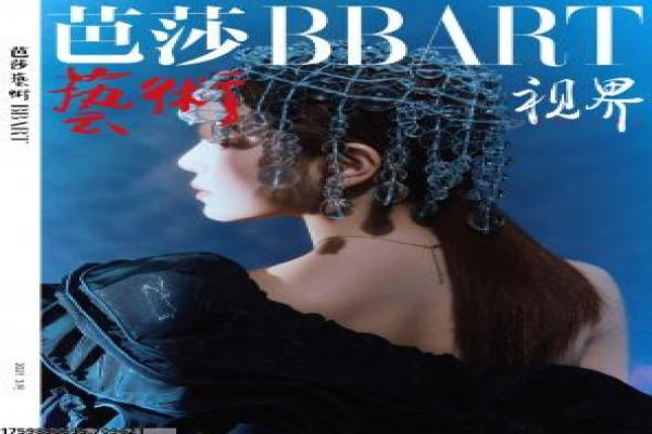 《变形金刚人》变形金刚人的科幻冒险故事情