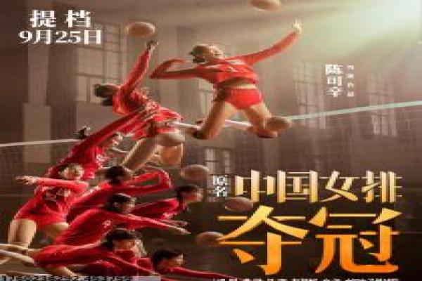 《密码猎人》影视解析,破解密码猎人的智力追逐与谜题解密的深度解读